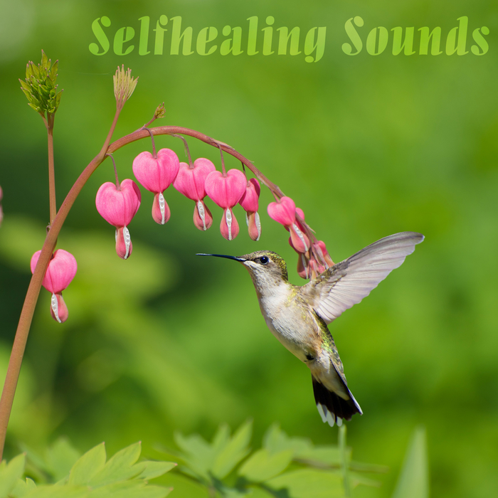VARIOUS - Selfhealing Sounds