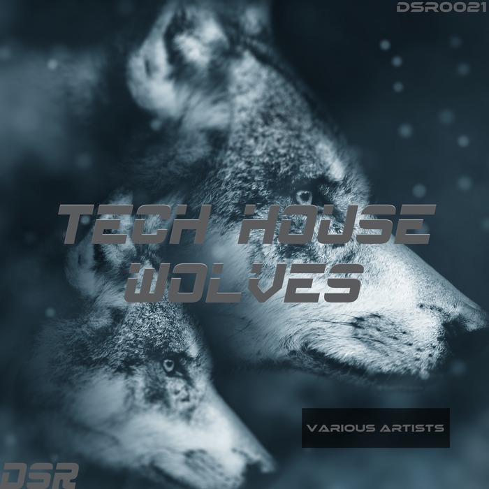 VARIOUS - Tech House Wolves
