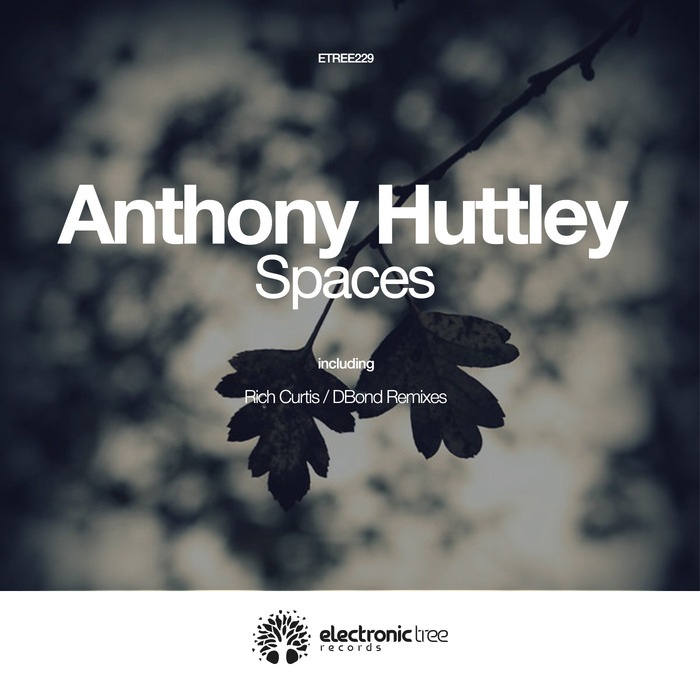 ANTHONY HUTTLEY - Spaces