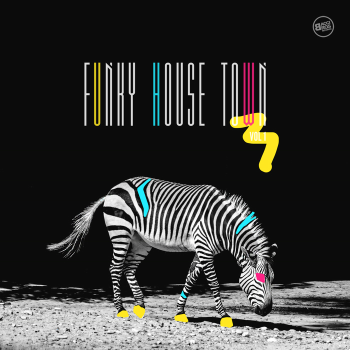 VARIOUS - Funky House Town Vol 1