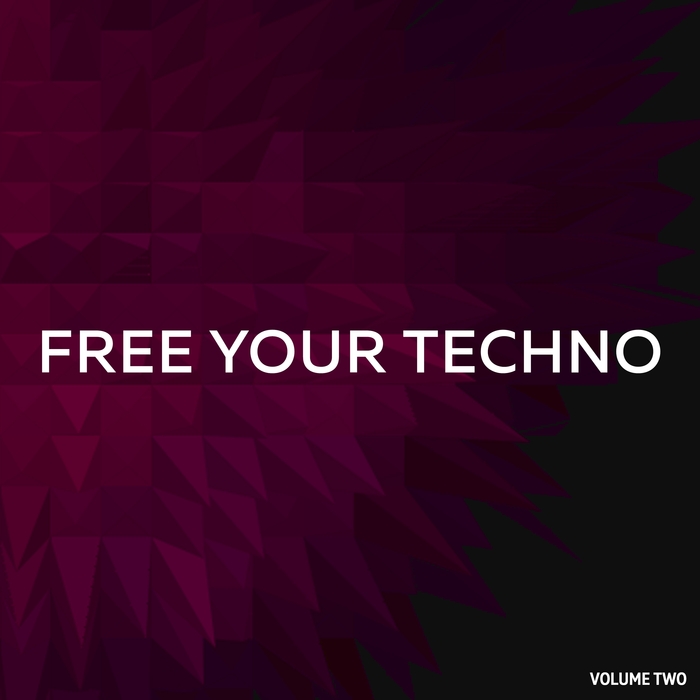 VARIOUS - Free Your Techno Vol 2