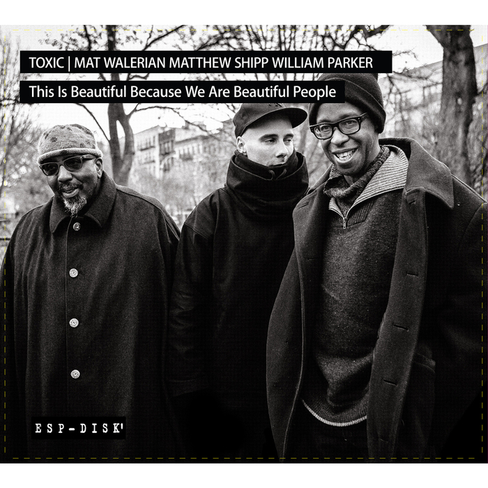 TOXIC/MATTHEW SHIPP/MAT WALERIAN/WILLIAM PARKER - This Is Beautiful Because We Are Beautiful People