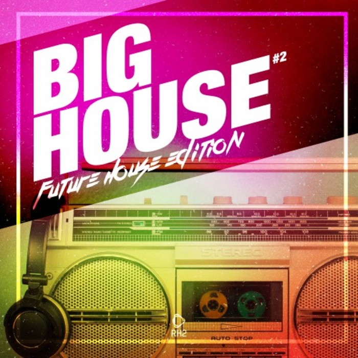 VARIOUS - Big House: Future House Edition Vol 2