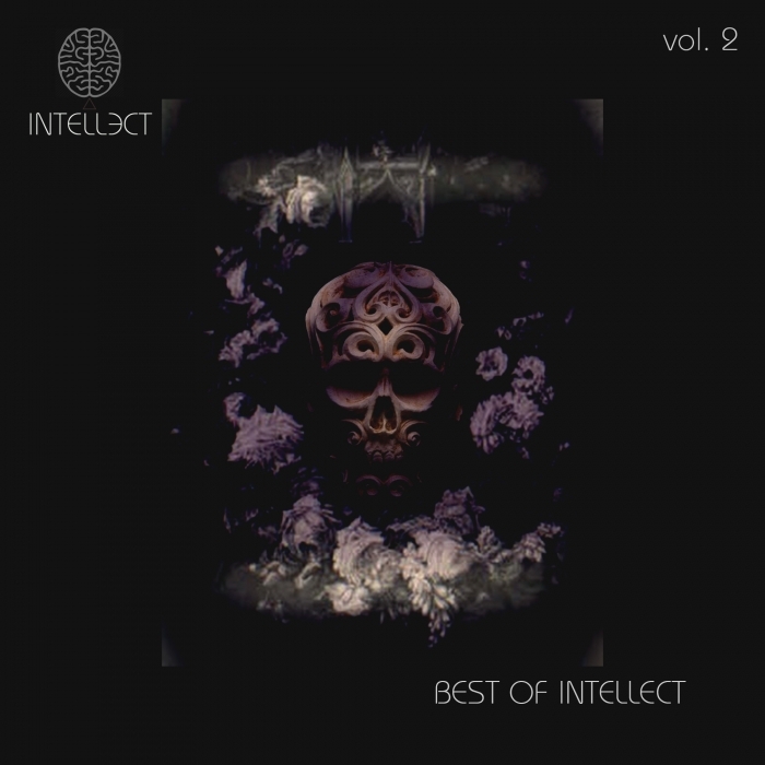 VARIOUS - BEST OF INTELLECT VOL 2