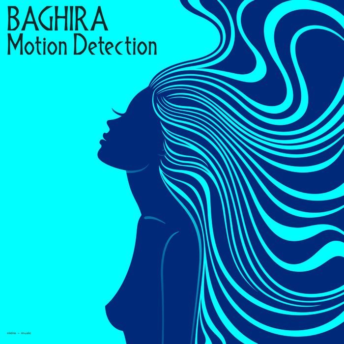 BAGHIRA - Motion Detection