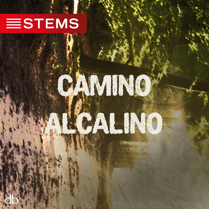 SILVINA ROMERO - Camino Alcalino