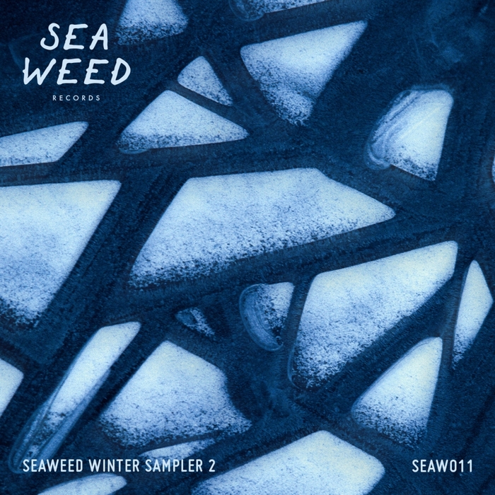 VARIOUS - Seaweed Winter Sampler 2
