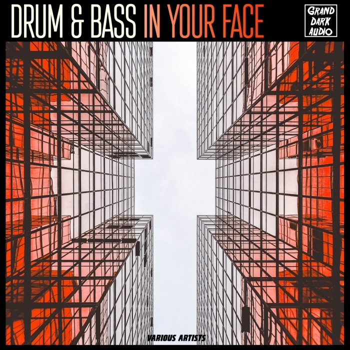 VARIOUS - Drum & Bass In Your Face