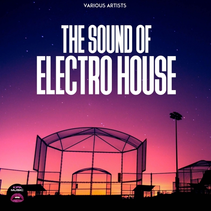 VARIOUS - The Sound Of Electro House