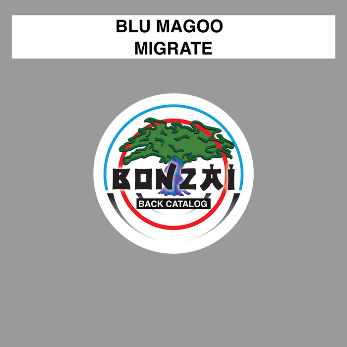 BLU MAGOO - Migrate