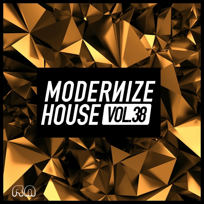 VARIOUS - Modernize House Vol 38