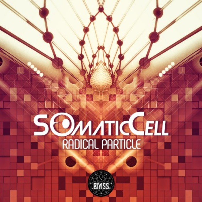 SOMATIC CELL - Radical Particle