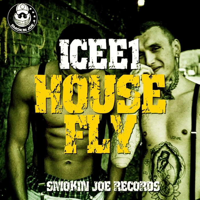ICEE1 - HouseFly