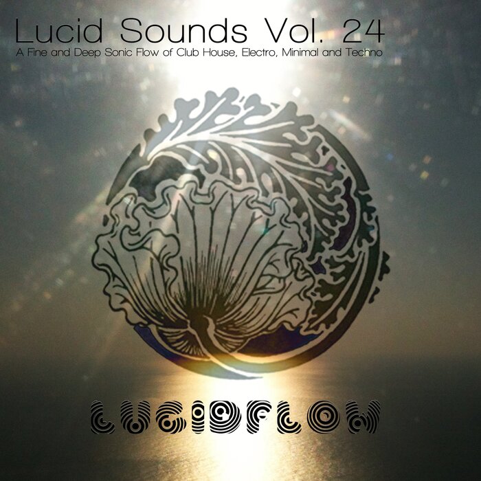 MRS ROBOT/VARIOUS - Lucid Sounds Vol 24 (A Fine & Deep Sonic Flow Of Club House, Electro, Minimal & Techno) (unmixed Tracks)