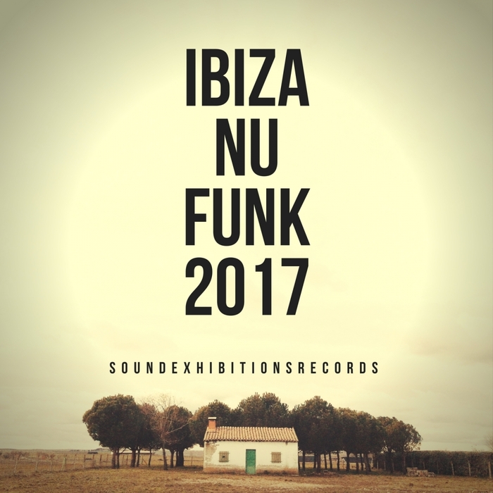 VARIOUS - Ibiza Nu Funk 2017