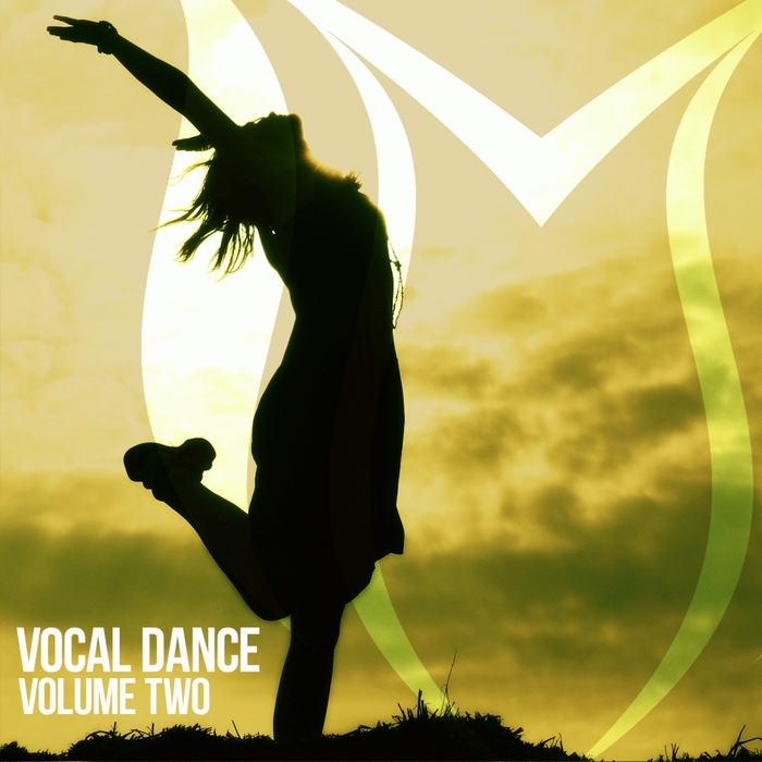 VARIOUS - Vocal Dance Vol 2