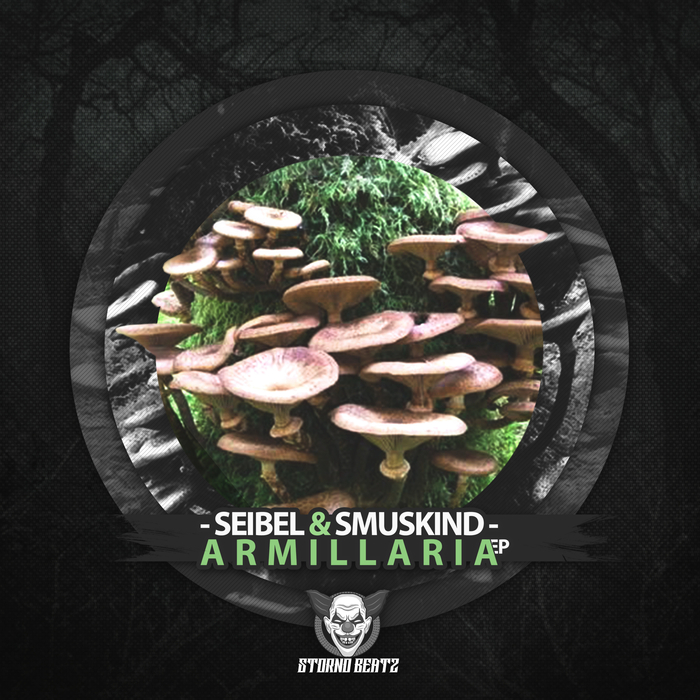 SEIBEL & SMUSKIND - Armillaria