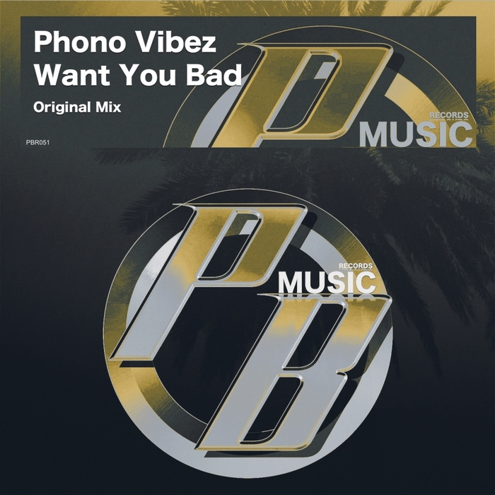 PHONO-VIBEZ - Want You Bad