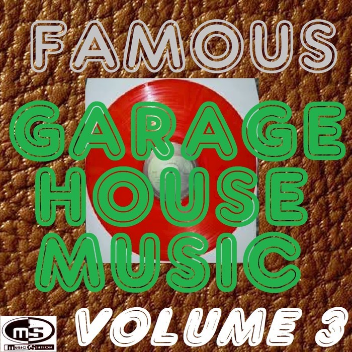 VARIOUS - Famous Garage House Music Vol 3 (DJ Megamix)