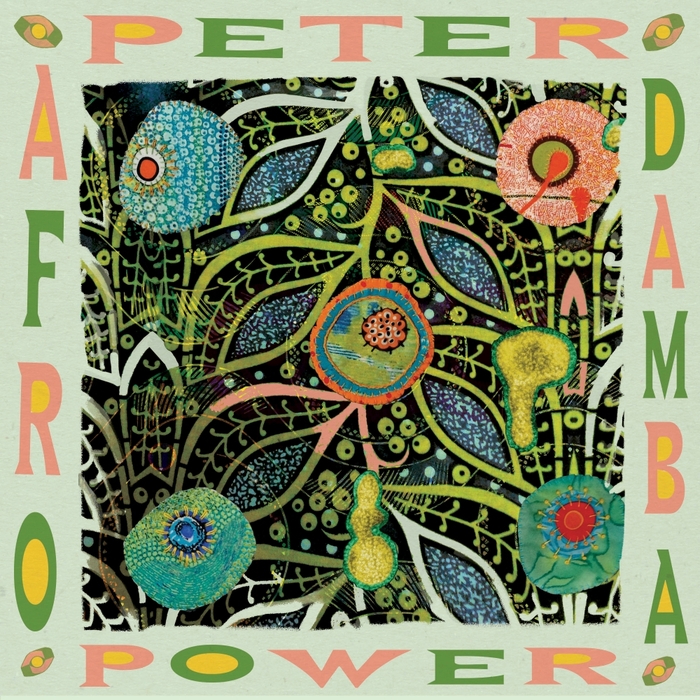 PETER POWER - Afro Damba