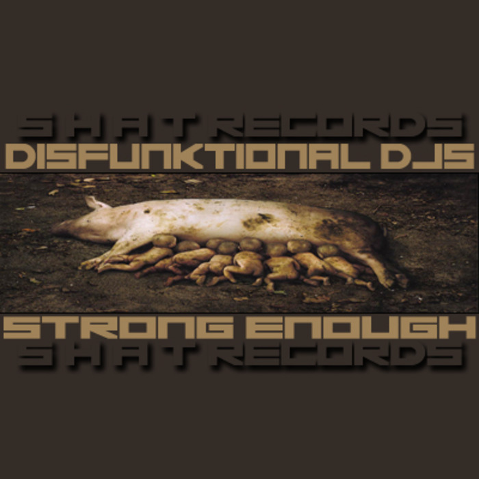 DISFUNKTIONAL DJS - Strong Enough