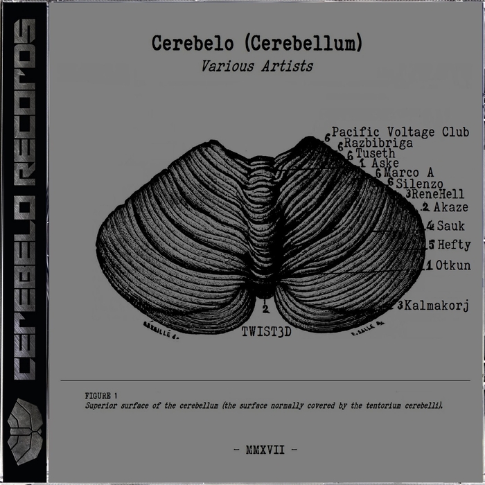 VARIOUS - Cerebelo Records 2017 (Cerebellum)