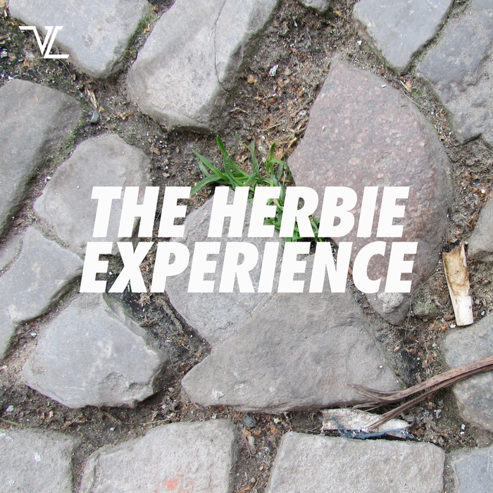 HERBIE - The Herbie Experience