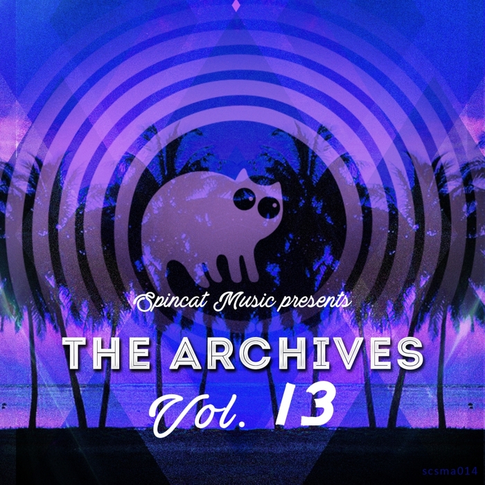 VARIOUS - The Archives Vol 13