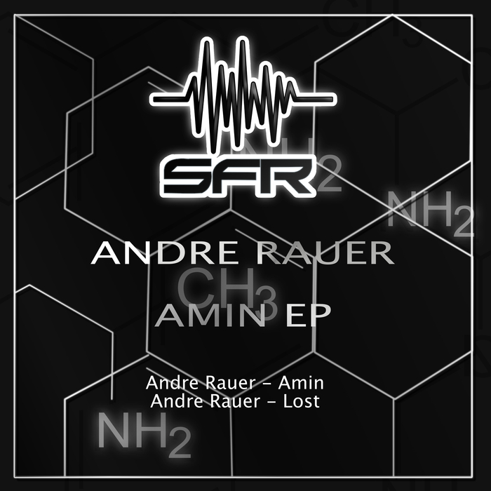 ANDRE RAUER - Amin EP