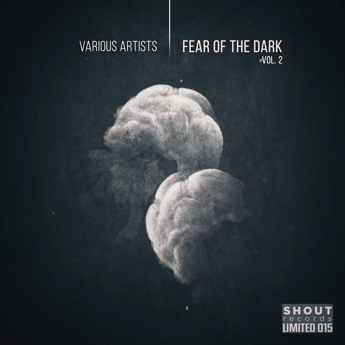 VARIOUS - Fear Of The Dark Vol 2