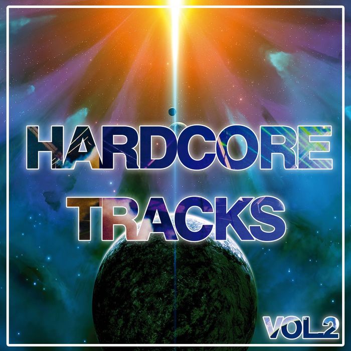 VARIOUS - Hardcore Tracks Vol 2