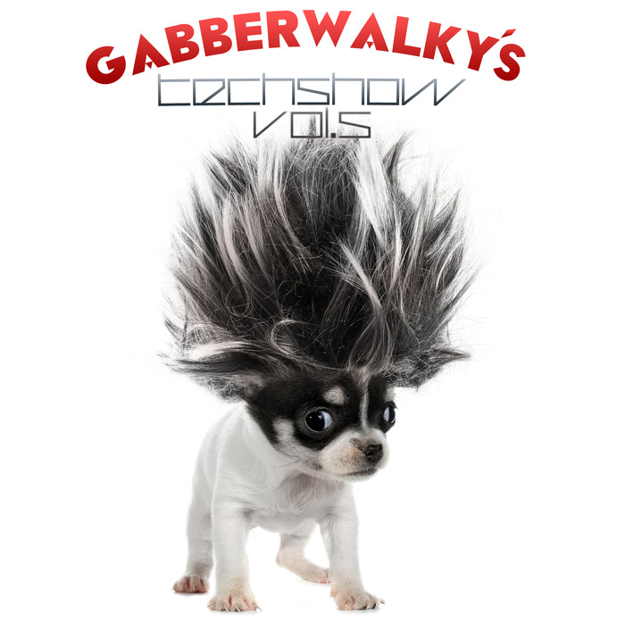 VARIOUS - Gabberwalky's Techshow Vol 5