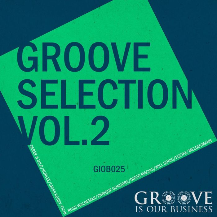 VARIOUS - Groove Selection Vol 2