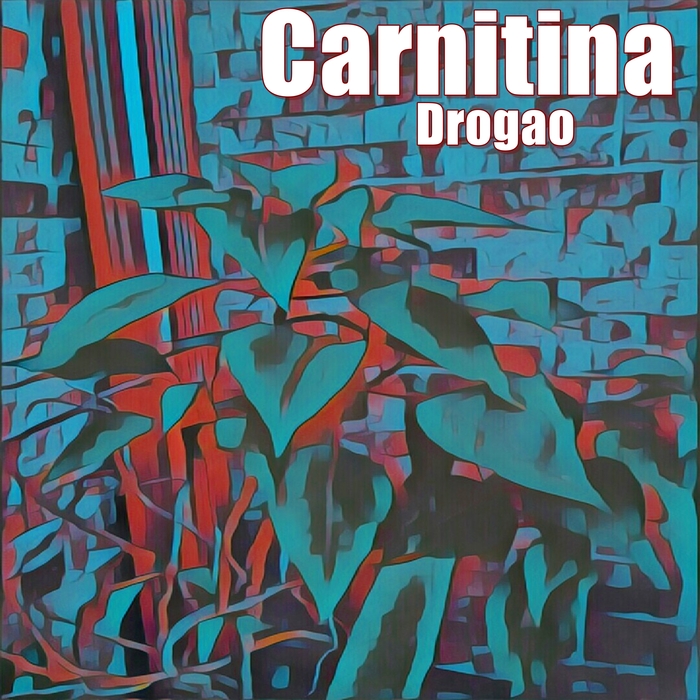 DROGAO - Carnitina