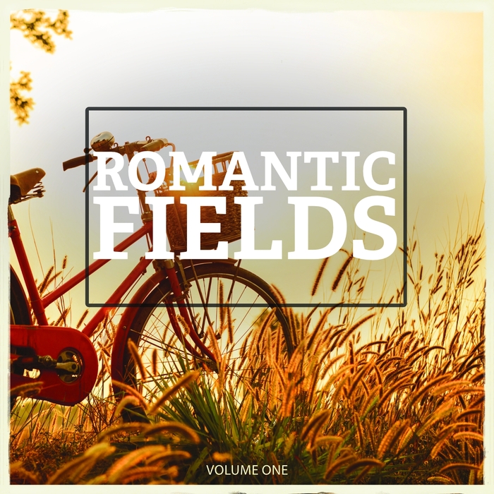 VARIOUS - Romantic Fields Vol 1 (Wonderful Electronic Smooth Jazz Music For A Romantic Evening)