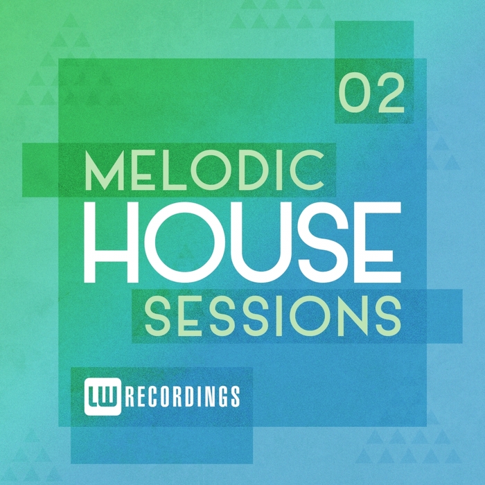 VARIOUS - Melodic House Sessions Vol 2