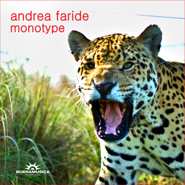 ANDREA - Monotype