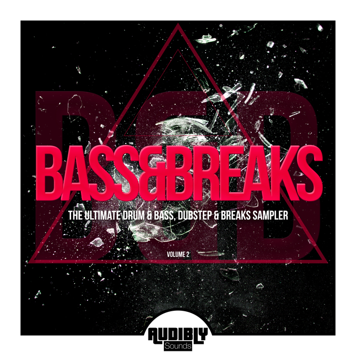 VARIOUS - Bass & Breaks (The Ultimate Drum & Bass, Dubstep & Breaks Sampler) Vol 2