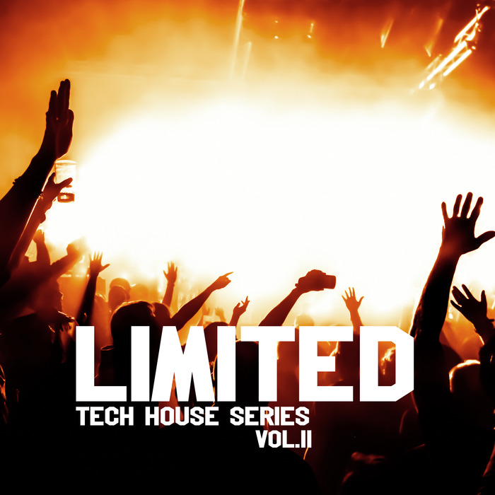 VARIOUS - Limited Tech House Series Vol 2