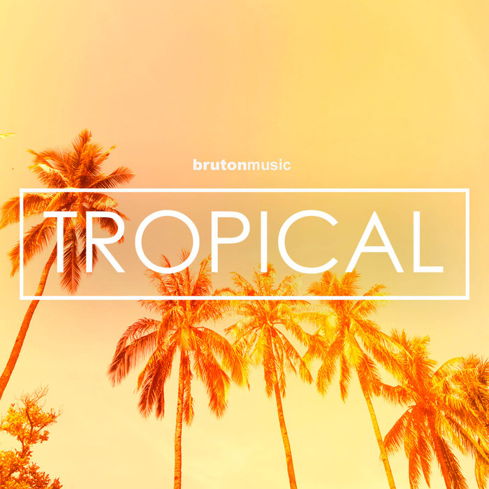 VARIOUS - Tropical