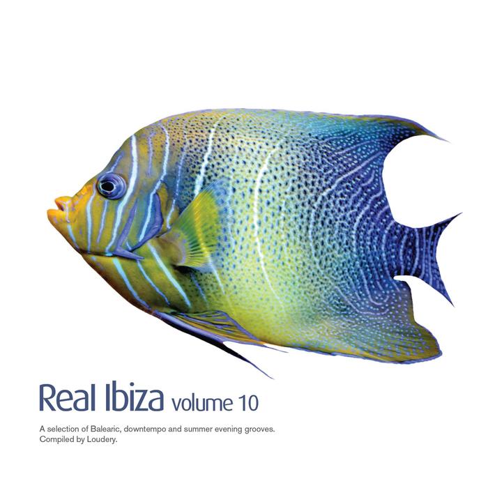 VARIOUS - Real Ibiza Vol 10