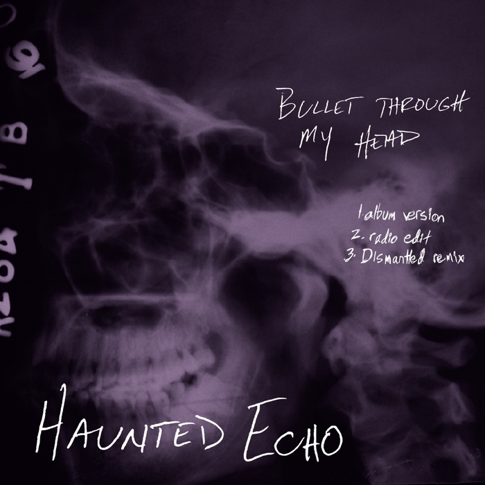 Haunted Echo by Janet McLaughlin
