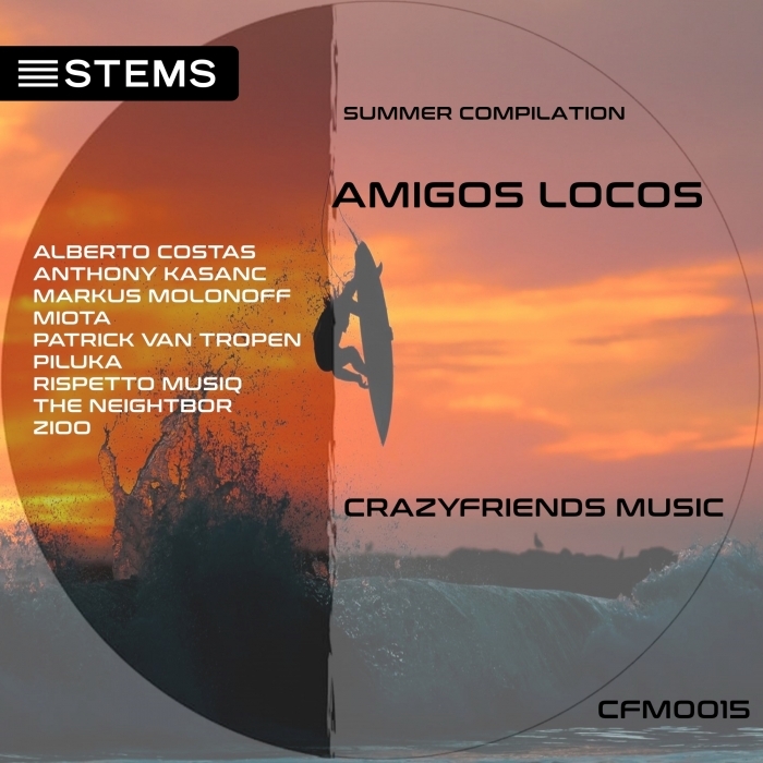 VARIOUS - Amigos Locos