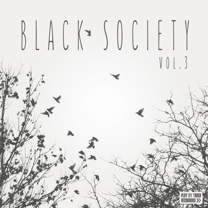 VARIOUS - Black Society Vol 3