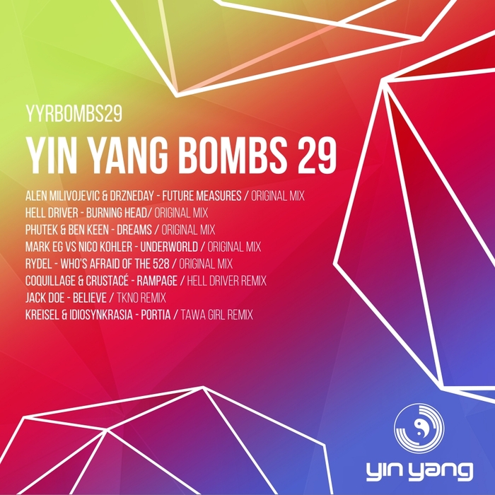 VARIOUS - Yin Yang Bombs/Compilation 29