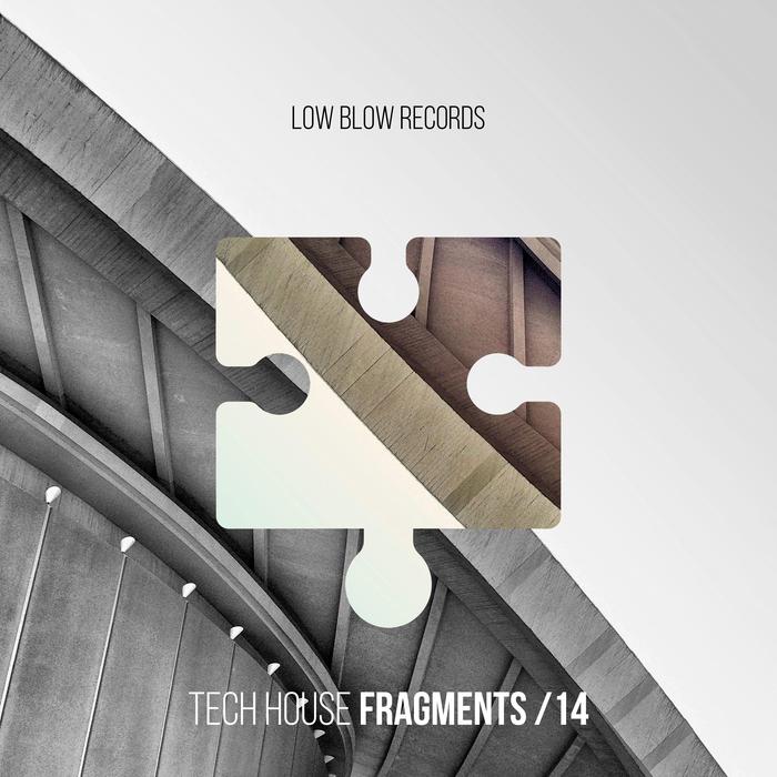 VARIOUS - Tech House Fragments 14