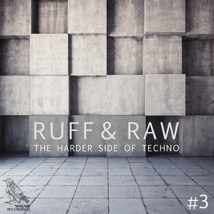 VARIOUS - Ruff & Raw Vol 3 - The Harder Side Of Techno