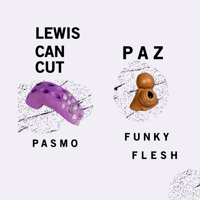 PAZ/LEWIS CANCUT - Pasmo/Funky Flesh