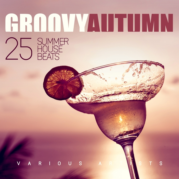 VARIOUS - Groovy Autumn (25 Summer House Beats)