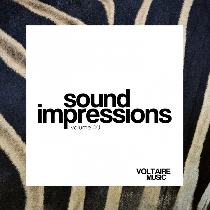 VARIOUS - Sound Impressions Vol 40